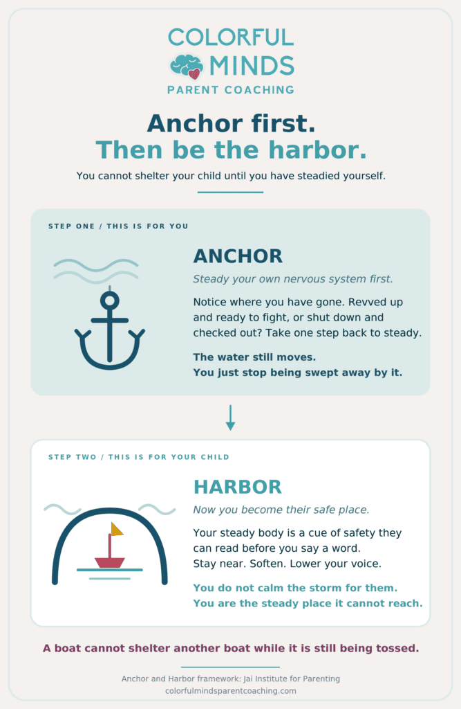 Anchor first, then be the harbor: what regulation actually looks like when a parent steadies themselves before comforting their child.