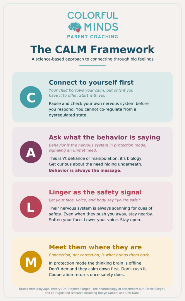 The CALM framework: connect to yourself first, ask what the behavior is saying, linger as the safety signal, and meet them where they are.